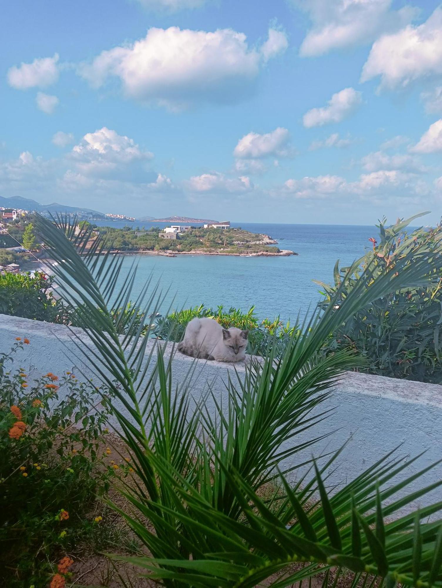 Residence Gerani Amoudara  Dış mekan fotoğraf